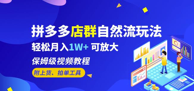 拼多多店群自然流玩法，轻松月入1W+保姆级视频教程（附上货、拍单工具）-网创资源社