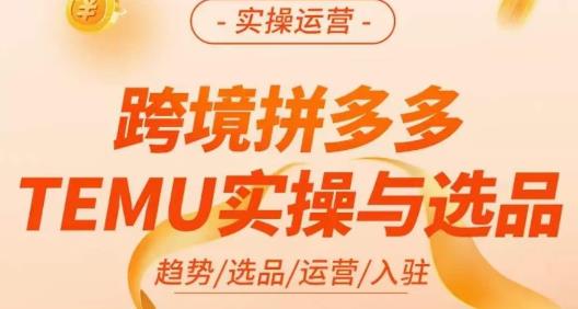 伍跃·跨境拼多多TEMU实操与选品，​趋势/选品/运营/入住（27节完整）-网创资源社