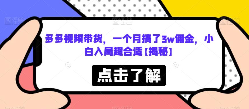 多多视频带货，一个月搞了3w佣金，小白入局超合适【揭秘】-网创资源社