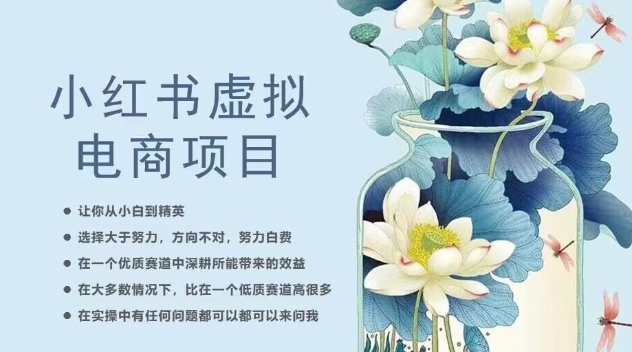 小红书虚拟电商从0到1，让你从小白到精英（20节实操课程）-网创资源社