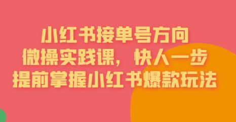 接单号方向·小红书微操实践课，快人一步，提前掌握小红书爆款玩法-网创资源社