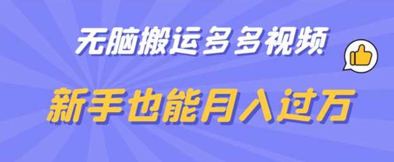 无脑搬运多多视频，新手也能月入过万【揭秘】-网创资源社