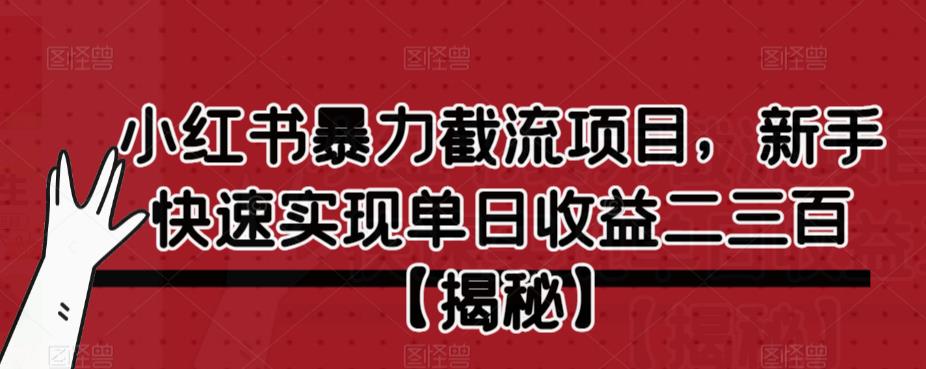 小红书暴力截流项目，新手快速实现单日收益二三百【仅揭秘】-网创资源社