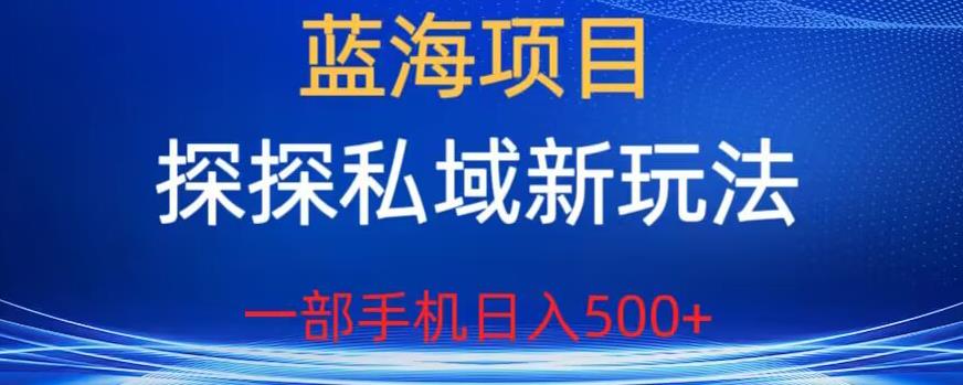 蓝海项目，探探私域新玩法，一部手机日入500+很轻松【揭秘】-网创资源社