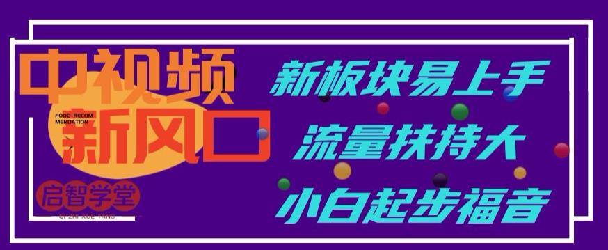 中视频新风口，新板块易上手，流量扶持大，小白起步福音【揭秘】-网创资源社