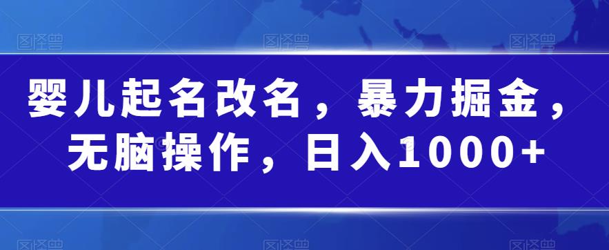 婴儿起名改名，暴力掘金，无脑操作，日入1000+【揭秘】-网创资源社