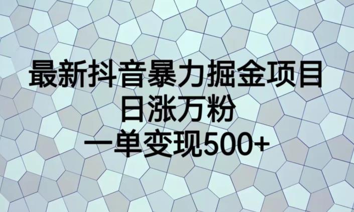 最新抖音暴力掘金项目，日涨万粉，一单变现500+【揭秘】-网创资源社