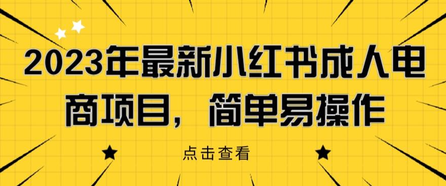 2023年最新小红书成人电商项目，简单易操作【详细教程】【揭秘】-网创资源社