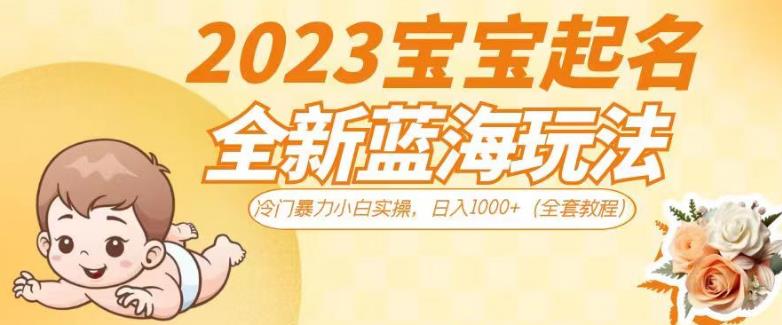 2023宝宝起名全新蓝海玩法，冷门暴力小白实操，日入1000+（全套教程）【揭秘】-网创资源社