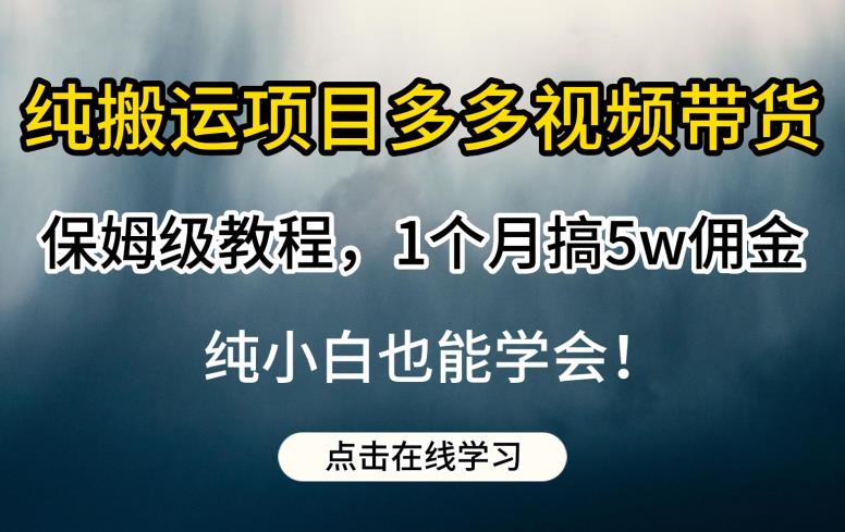 纯搬运项目多多视频带货保姆级教程，1个月搞5w佣金，纯小白也能学会【揭秘】-网创资源社