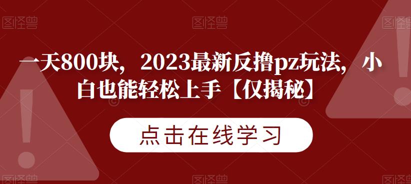 一天800块，2023最新反撸pz玩法，小白也能轻松上手【仅揭秘】-网创资源社