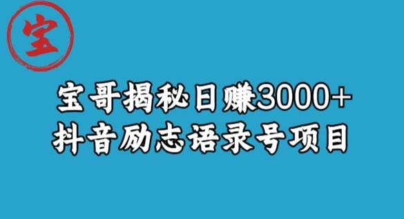 宝哥揭秘日赚3000+抖音励志语录号短视频变现项目-网创资源社