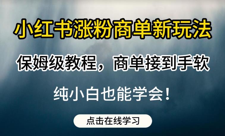 小红书涨粉商单新玩法，保姆级教程，商单接到手软，纯小白也能学会【揭秘】-网创资源社