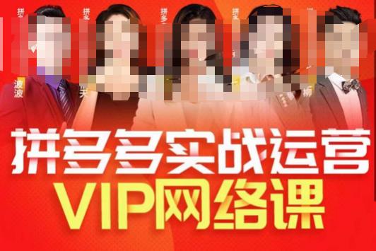 推易拼多多VIP全套直播课程，拼多多店铺实操玩法+实战玩法选款内功+直通车高阶等-网创资源社