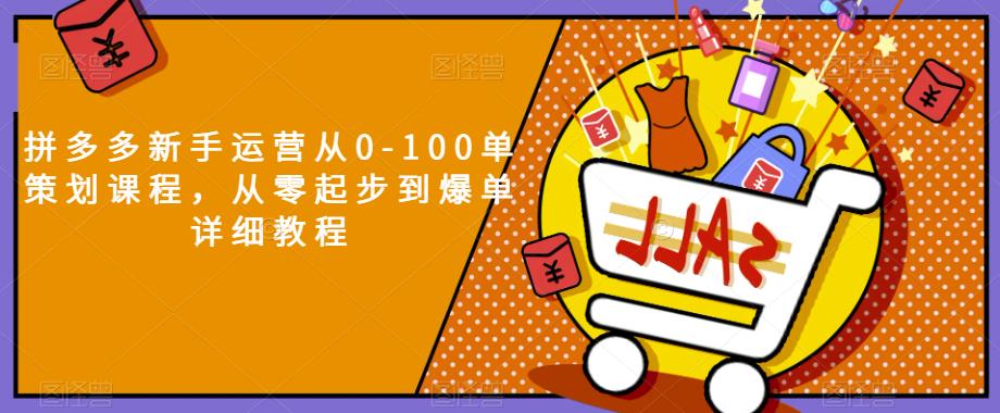 拼多多新手运营从0-100单策划课程，从零起步到爆单详细教程-网创资源社