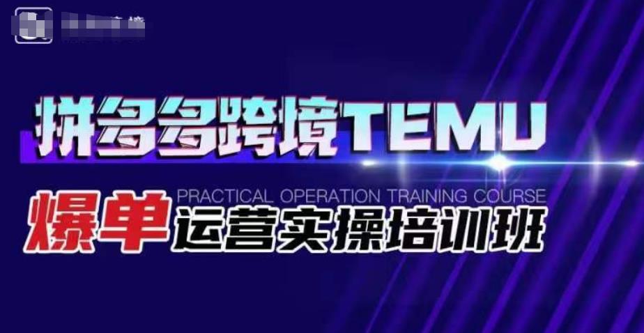 拼多多跨境TEMU爆单运营实操培训班，海外拼多多的选品、运营、爆单-网创资源社