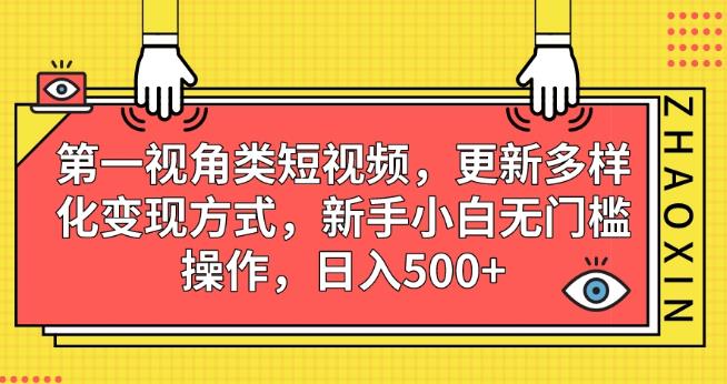 第一视角类短视频，更新多样化变现方式，新手小白无门槛操作，日入500+【揭秘】-网创资源社