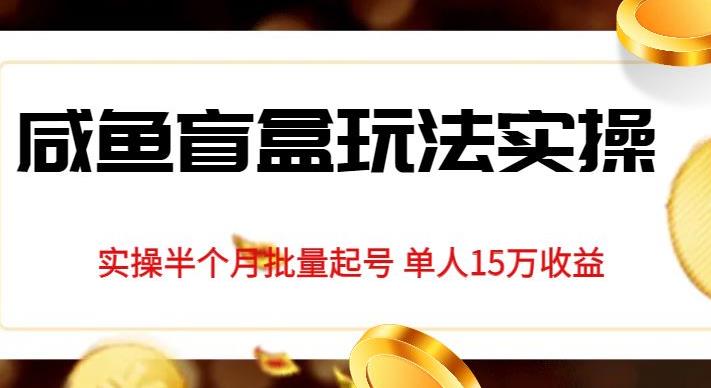 独家首发咸鱼盲盒玩法实操，半个月批量起号单人15万收益【揭秘】-网创资源社