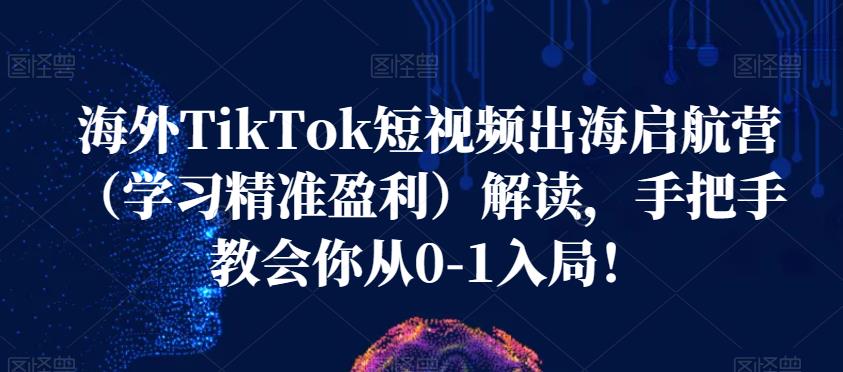 海外TikTok短视频出海启航营（学习精准盈利）解读，手把手教会你从0-1入局！-网创资源社