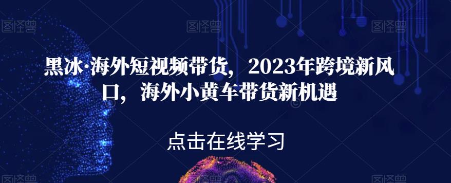 黑冰·海外短视频带货，2023年跨境新风口，海外小黄车带货新机遇-网创资源社