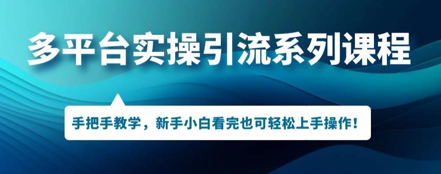 多平台引流实操系列课程，新手小白看完也可轻松上手进行引流操作-网创资源社