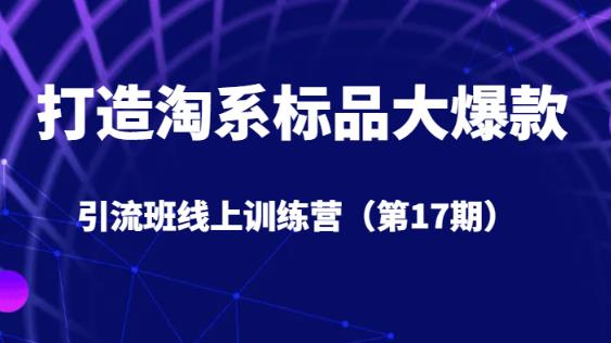 打造淘系标品大爆款引流班线上训练营（第17期）5天直播授课-网创资源社