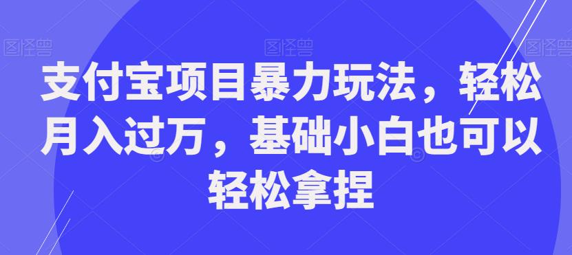 支付宝项目暴力玩法，轻松月入过万，基础小白也可以轻松拿捏【揭秘】-网创资源社