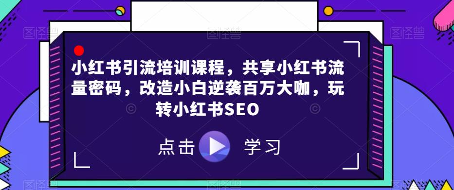 小红书引流培训课程，共享小红书流量密码，改造小白逆袭百万大咖，玩转小红书SEO-网创资源社