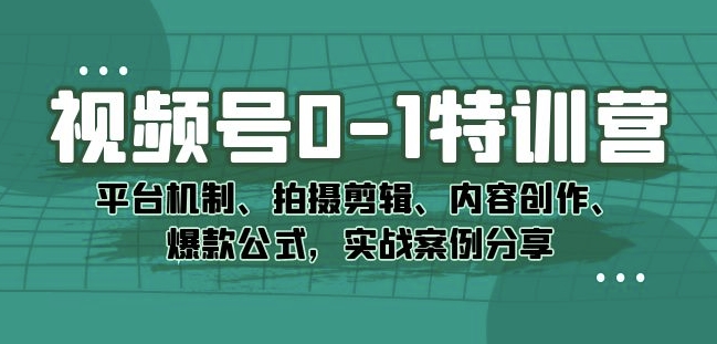 视频号0-1特训营：平台机制、拍摄剪辑、内容创作、爆款公式，实战案例分享-网创资源社