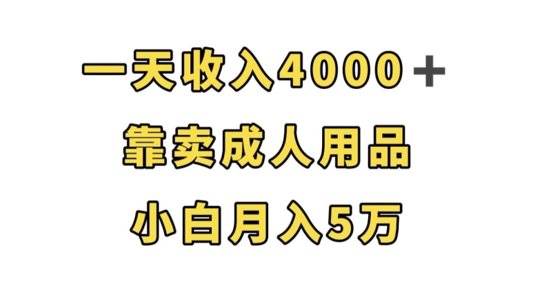 一天收入4000+，靠卖成人用品，小白轻松月入5万【揭秘】-网创资源社