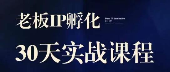 诸葛·2023老板IP实战课，实体同城引流获客，IP孵化必听-网创资源社