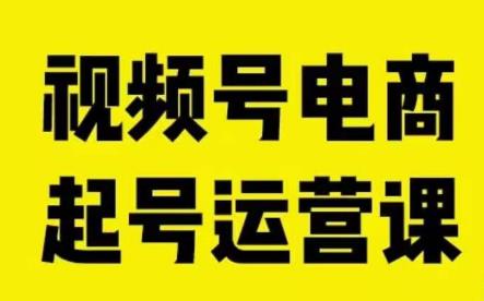 视频号电商起号运营课，教新人如何自然流起号，助力商家0-1突破-网创资源社