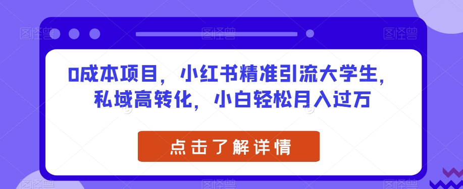 0成本项目，小红书精准引流大学生，私域高转化，小白轻松月入过万【揭秘】-网创资源社