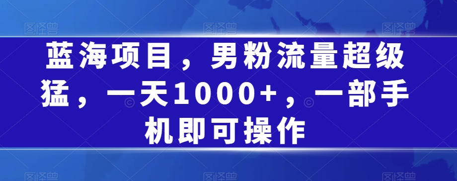 蓝海项目，男粉流量超级猛，一天1000+，一部手机即可操作【揭秘】-网创资源社