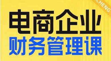 电商企业财务管理线上课，为电商企业规划财税-网创资源社