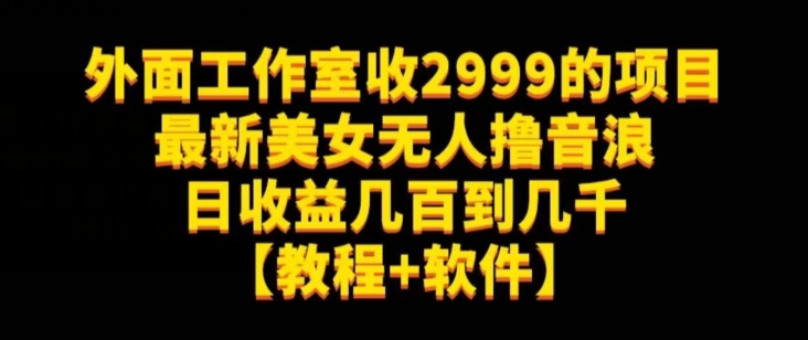 外面工作室收2999的项目最新美女无人撸音浪日收益几百到几千【教程+软件】（仅揭秘）-网创资源社