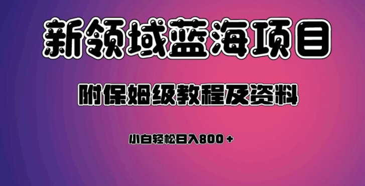 虚拟资源蓝海领域新项目，轻松日入800＋，附保姆级教程及资料-网创资源社