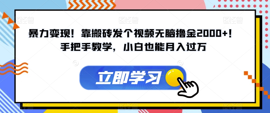 暴力变现！靠搬砖发个视频无脑撸金2000+！手把手教学，小白也能月入过万【揭秘】-网创资源社