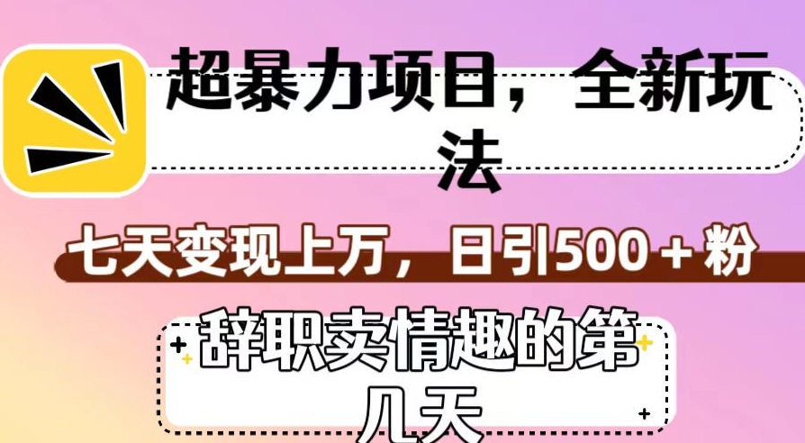 超暴利项目，全新玩法（辞职卖情趣的第几天），七天变现上万，日引500+粉【揭秘】-网创资源社