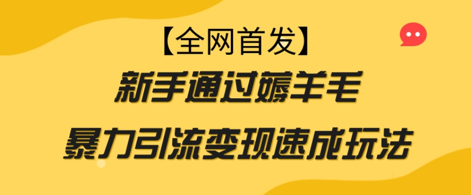 【全网首发】新手通过薅羊毛暴力引流变现速成玩法-网创资源社