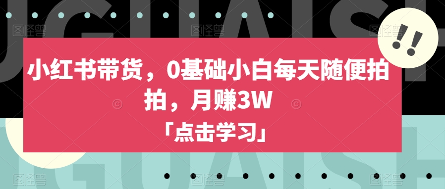 小红书带货，0基础小白每天随便拍拍，月赚3W【揭秘】-网创资源社