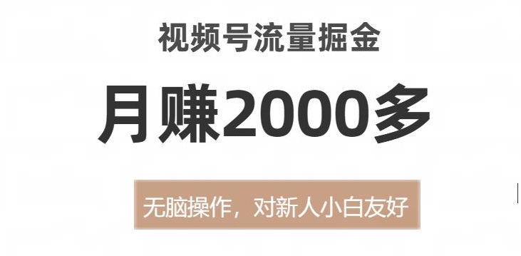 视频号流量掘金，无脑操作，对新人小白友好，月赚2000多【揭秘】-网创资源社