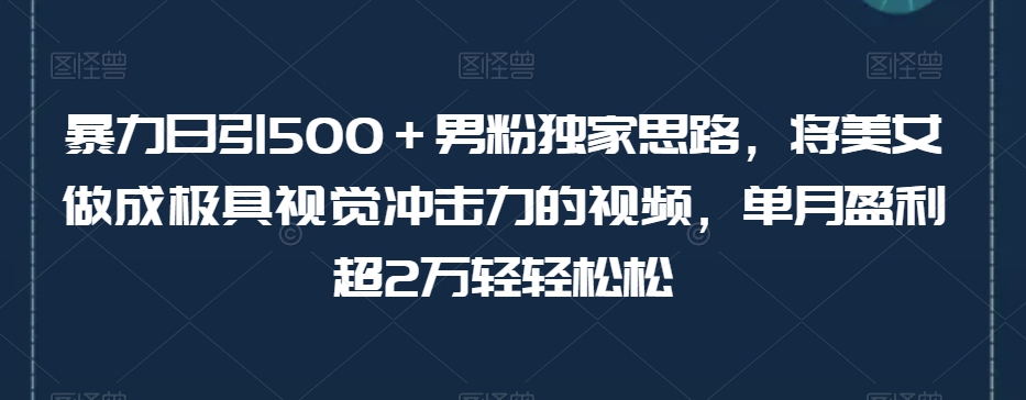 暴力日引500＋男粉独家思路，将美女做成极具视觉冲击力的视频，单月盈利超2万轻轻松松-网创资源社