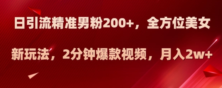 日引流精准男粉200+，全方位美女新玩法，2分钟爆款视频，月入2w+【揭秘】-网创资源社