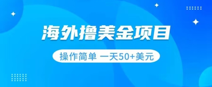 撸美金项目无门槛操作简单小白一天50+美刀-网创资源社