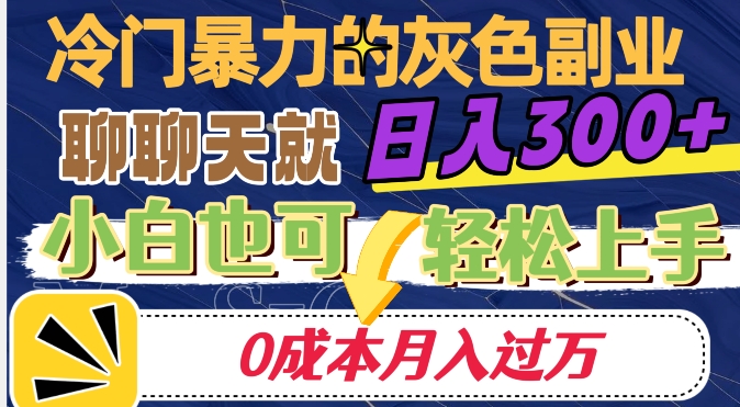 冷门暴利的副业项目，聊聊天就能日入300+，0成本月入过万【揭秘】-网创资源社