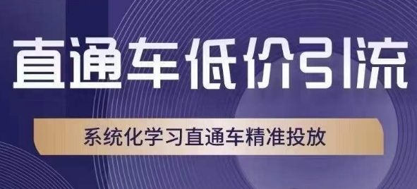 直通车低价引流课，系统化学习直通车精准投放-网创资源社