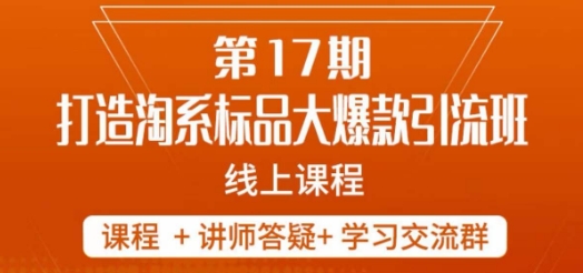 南掌柜-第17期打造淘系标品大爆款，5天线上课-网创资源社