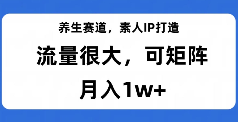 养生赛道，素人IP打造，流量很大，可矩阵，月入1w+【揭秘】-网创资源社