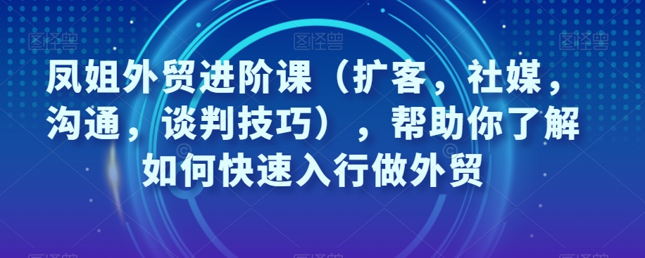 凤姐外贸进阶课（扩客，社媒，沟通，谈判技巧），帮助你了解如何快速入行做外贸-网创资源社